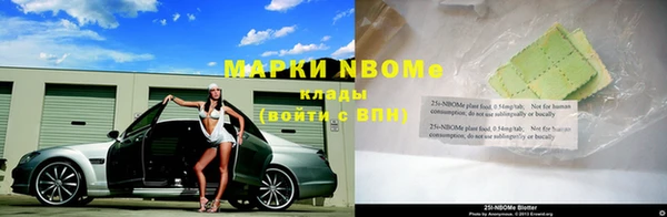 прущие грибы Алексеевка
