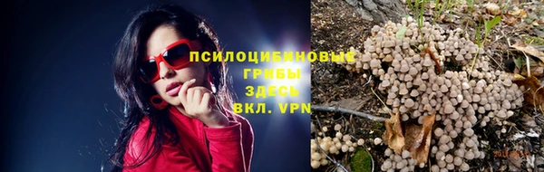 ALPHA PVP Алексин