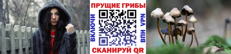 Псилоцибиновые грибы мухоморы  kraken вход  мориарти состав  Макушино 
